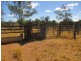 439 Freemans Road, Roma QLD 4455