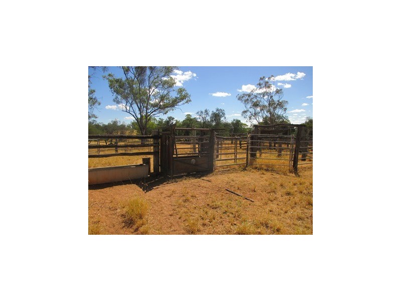 439 Freemans Road, Roma QLD 4455