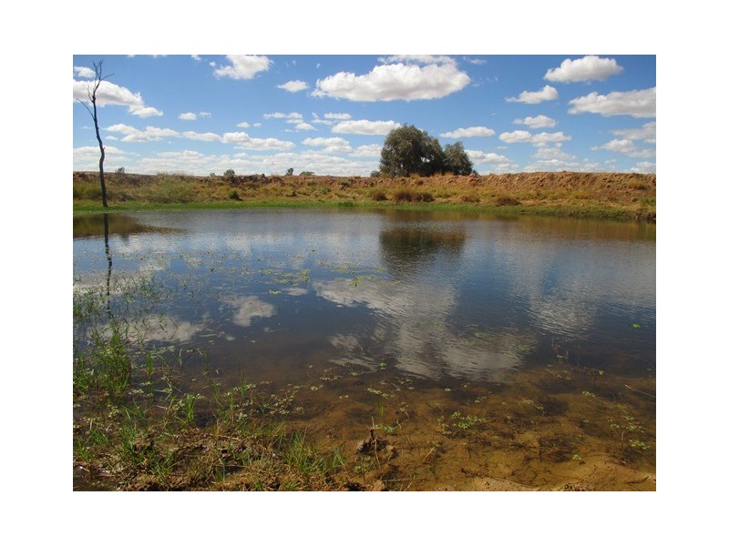439 Freemans Road, Roma QLD 4455