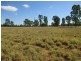 Lot 58 Homebush Lane, Mitchell QLD 4465