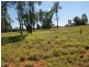 Lot 58 Homebush Lane, Mitchell QLD 4465