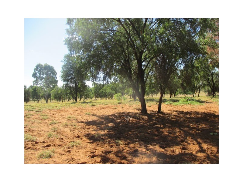 Lot 58 Homebush Lane, Mitchell QLD 4465