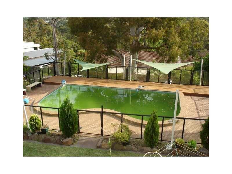 58 Moncrieff Drive, East Ryde NSW 2113