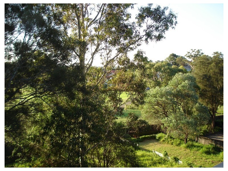 30 Meadow Crescent, Meadowbank NSW 2114