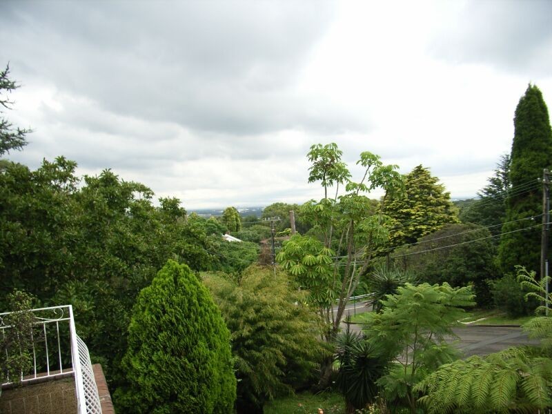 66 Darvall Road, Eastwood NSW 2122