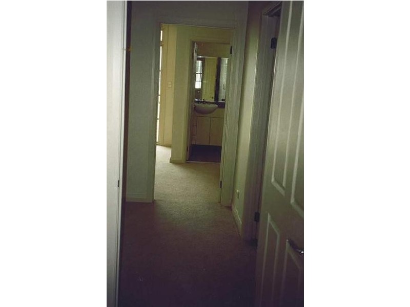 20 Waragal Ave, Rozelle NSW 2039