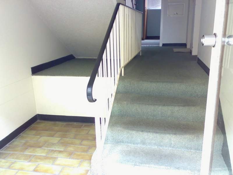 3/25 May St, Eastwood NSW 2122