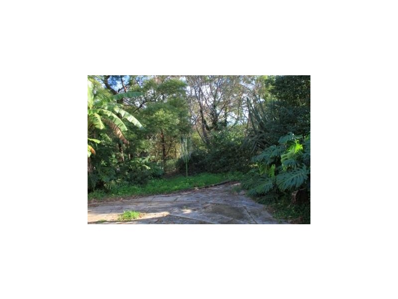 11 Carson St, Dundas Valley NSW 2117