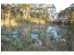 1847  Peats Ridge Road, Peats Ridge NSW 2250