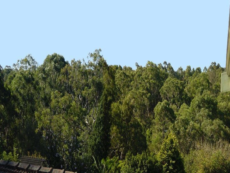 76 Cressy Road, Ryde NSW 2112