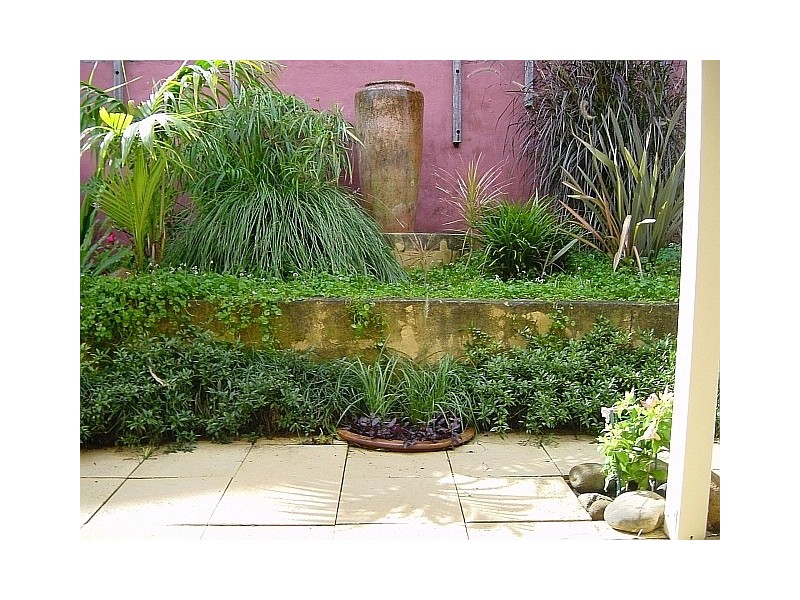 56 Dawson Street, Epping NSW 2121