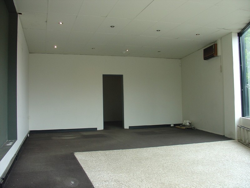 131 VICTORIA ROAD, Gladesville NSW 2111