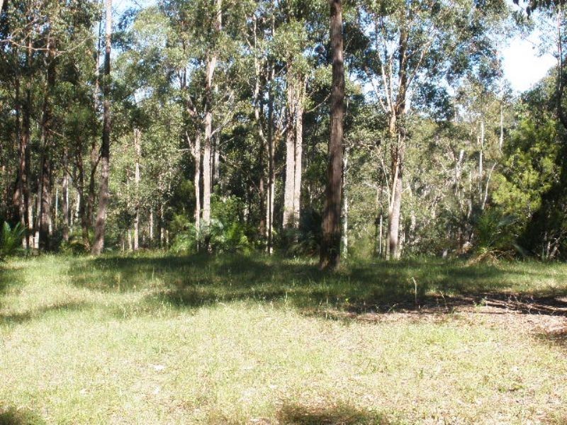 14 Burri Palm Way, Surfside NSW 2536