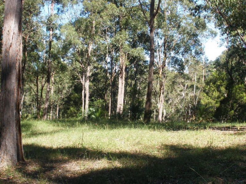 14 Burri Palm Way, Surfside NSW 2536