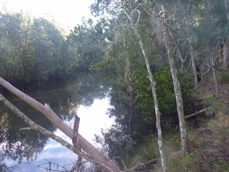 14 Burri Palm Way, Surfside NSW 2536