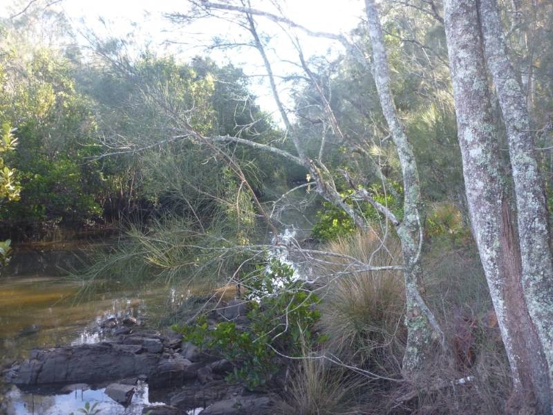 14 Burri Palm Way, Surfside NSW 2536