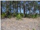 107 Litchfield Crescent, Long Beach NSW 2536