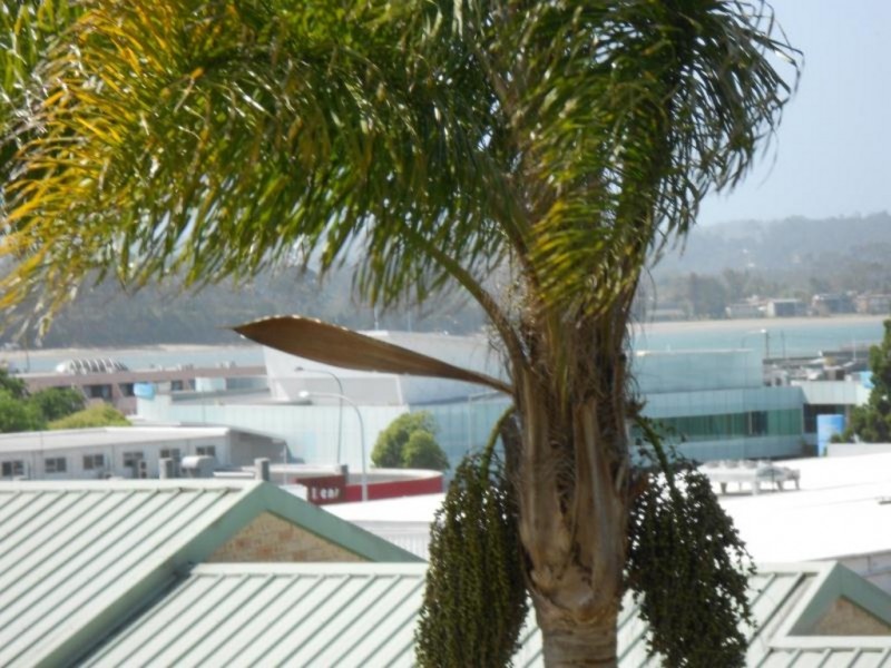 Batemans Bay NSW 2536