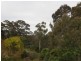 14B Sancuary Place, Catalina NSW 2536