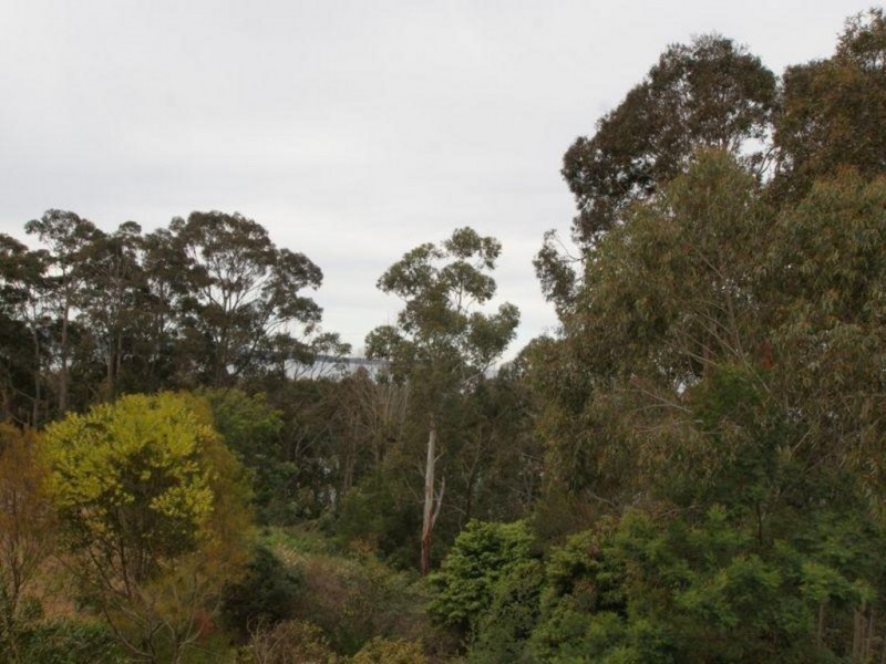 14B Sancuary Place, Catalina NSW 2536