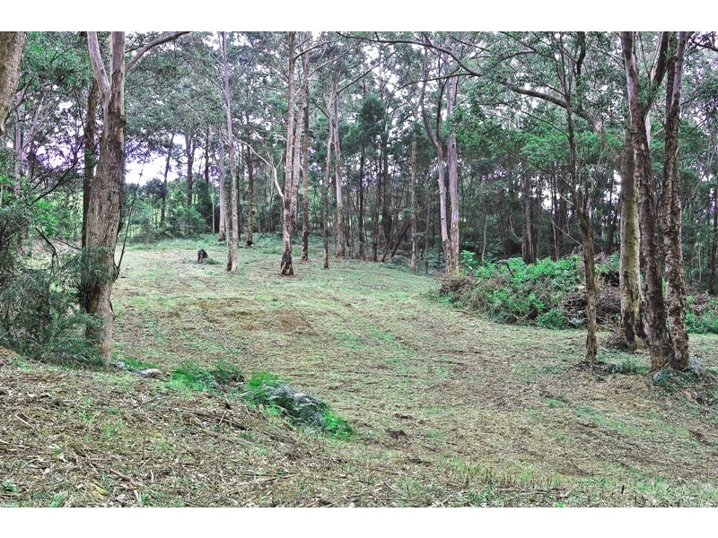 Lot 2 Figtree Close, Surf Beach NSW 2536