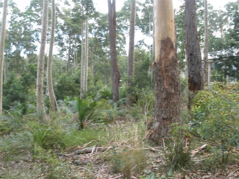 103 Litchfield Crescent, Long Beach NSW 2536