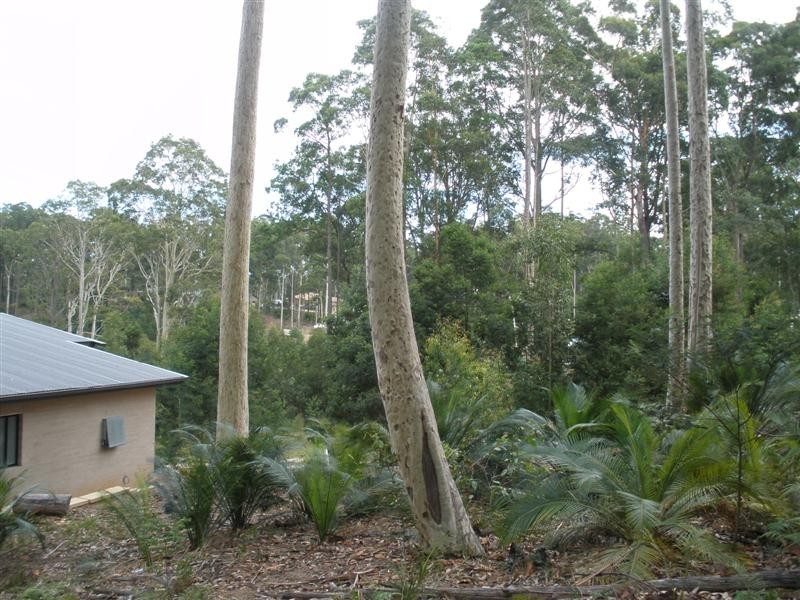 103 Litchfield Crescent, Long Beach NSW 2536