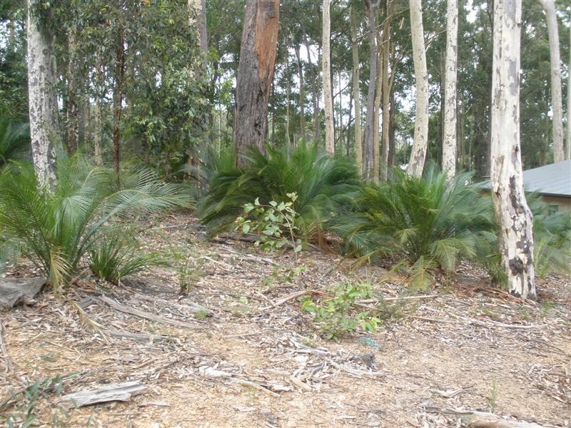 103 Litchfield Crescent, Long Beach NSW 2536