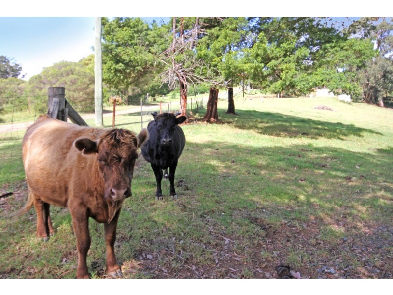 5 Grace Close, Malua Bay NSW 2536