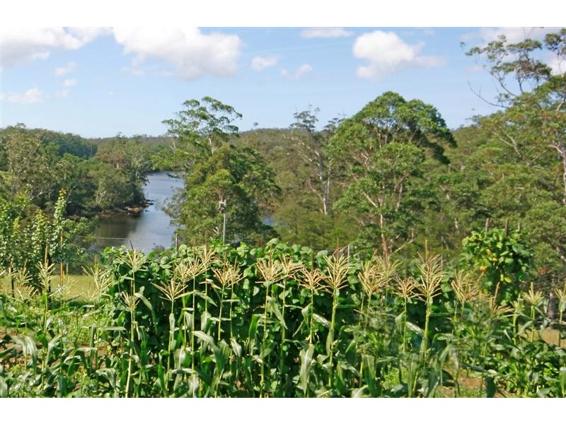 2752 The River Road, Nelligen NSW 2536
