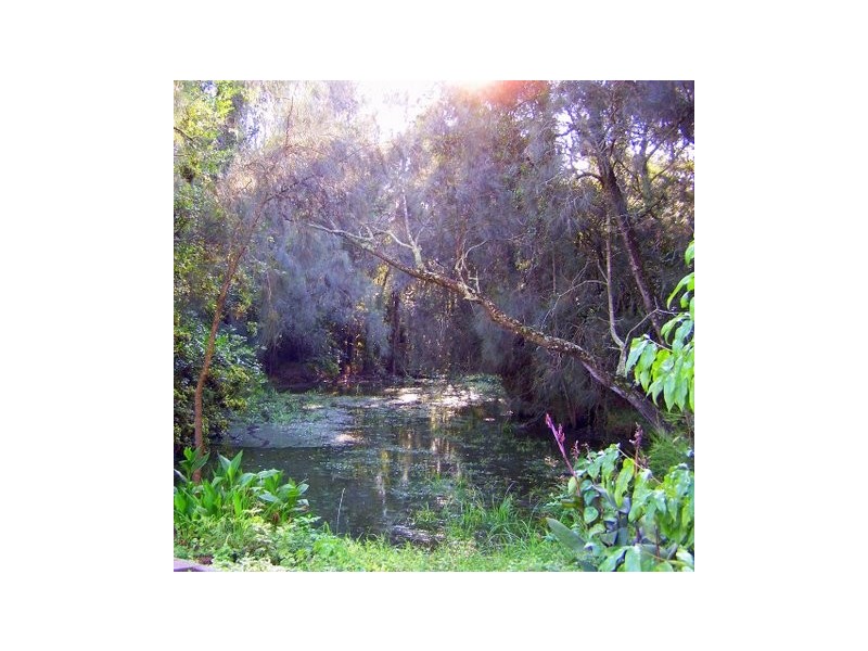 37 Peninsula Drive, North Batemans Bay NSW 2536