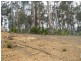 103 Litchfield Cr, Long Beach NSW 2536