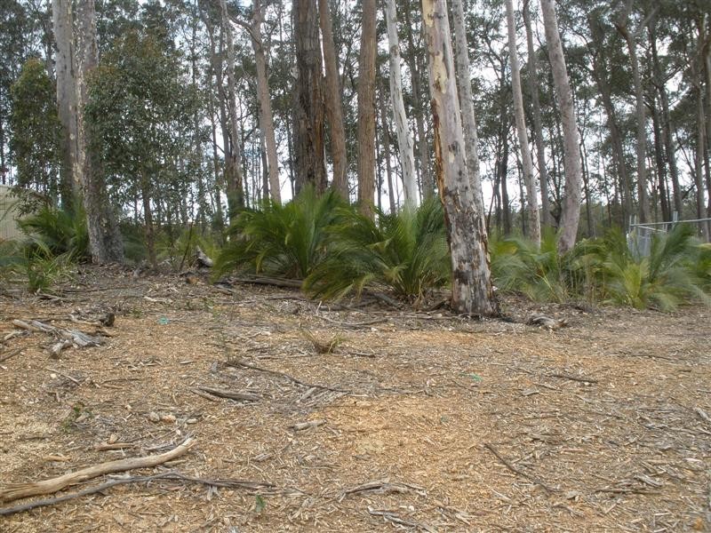 103 Litchfield Cr, Long Beach NSW 2536
