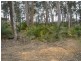 103 Litchfield Cr, Long Beach NSW 2536