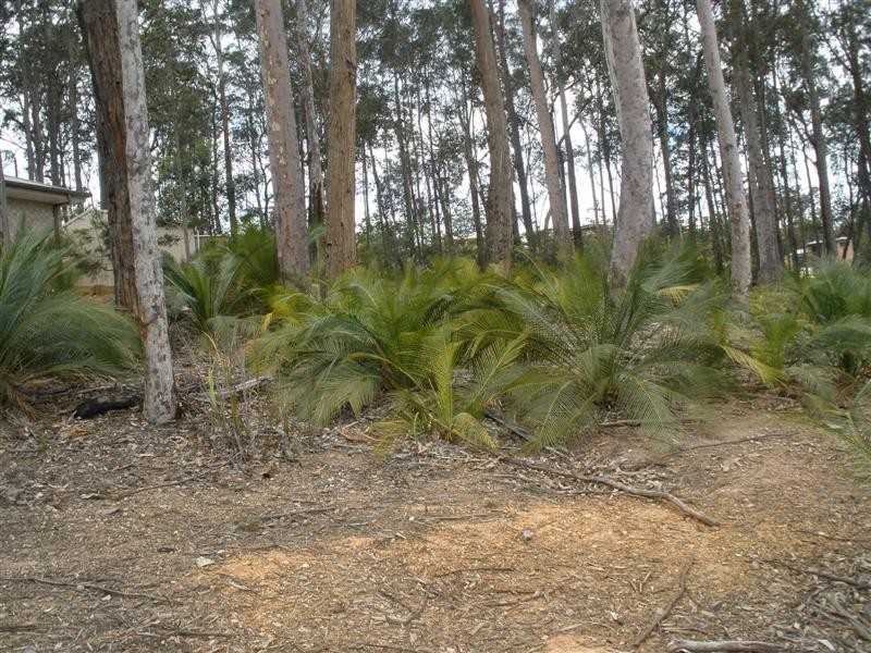 103 Litchfield Cr, Long Beach NSW 2536