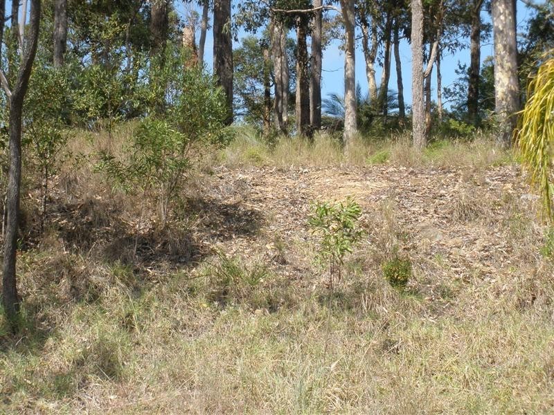 13 Bellbird Cl, Surfside NSW 2536