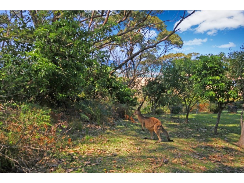 32 North Durras Road, Durras North NSW 2536