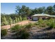 29 Tree Fern Place, Long Beach NSW 2536