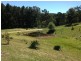 Lot 2 Old Bolaro Road, Nelligen NSW 2536