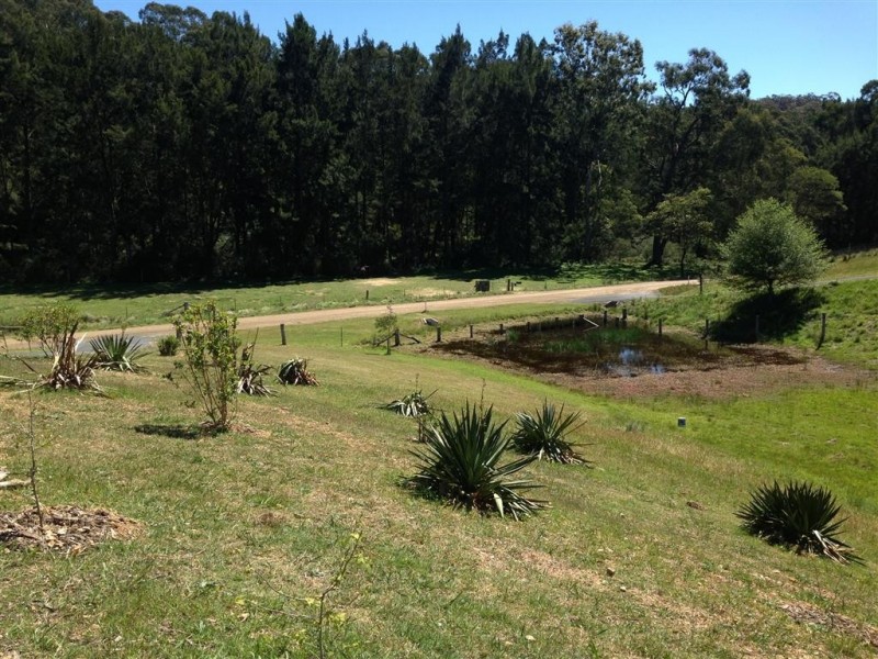 Lot 2 Old Bolaro Road, Nelligen NSW 2536