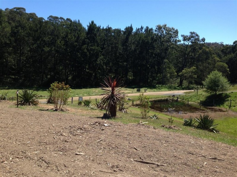 Lot 2 Old Bolaro Road, Nelligen NSW 2536