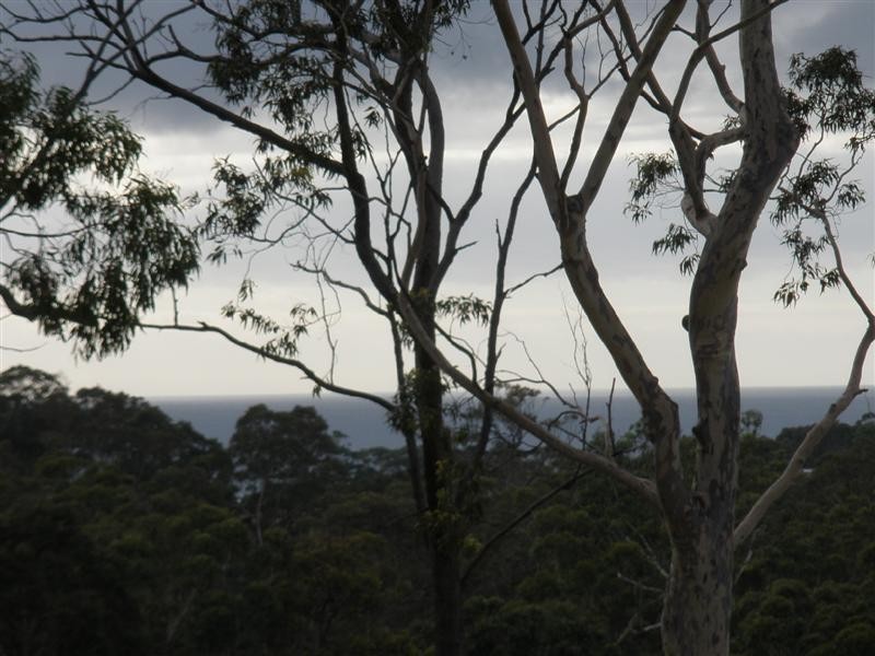 20 Bowerbird Place, Malua Bay NSW 2536