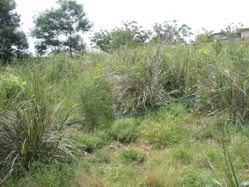 2 France Place, Long Beach NSW 2536