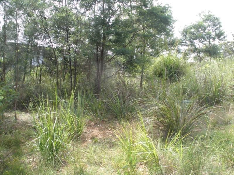 2 France Place, Long Beach NSW 2536