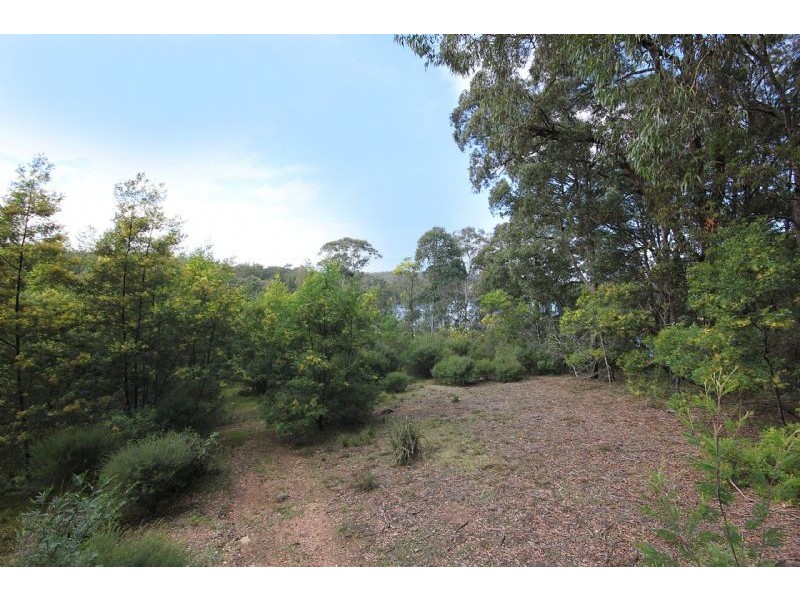 Lot 64 The River Road, Nelligen NSW 2536