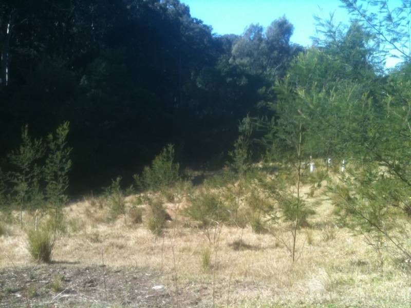 16 – Lot 250 Clarence Street, Long Beach NSW 2536