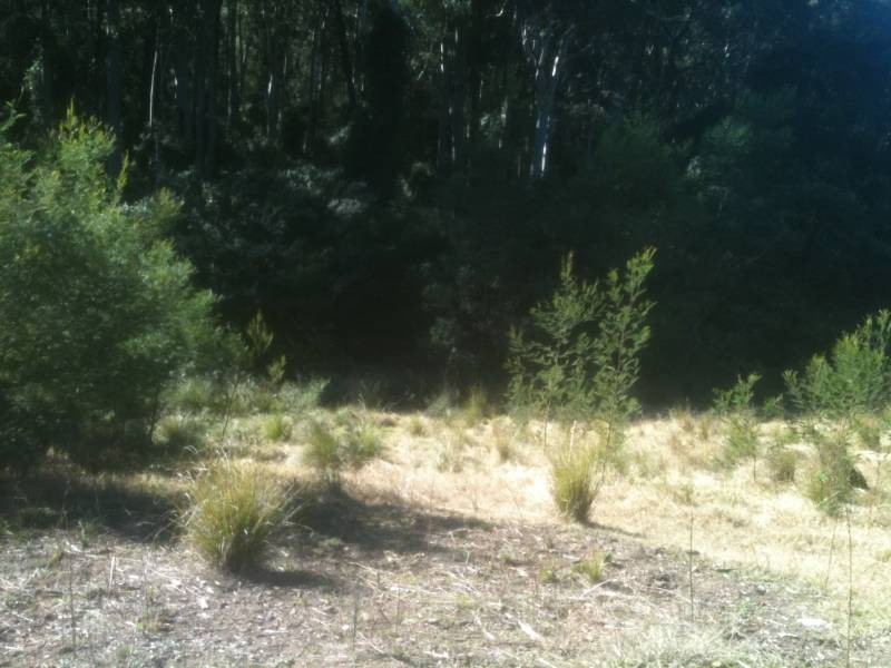 16 – Lot 250 Clarence Street, Long Beach NSW 2536