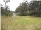 51 Tree Fern Place, Long Beach NSW 2536