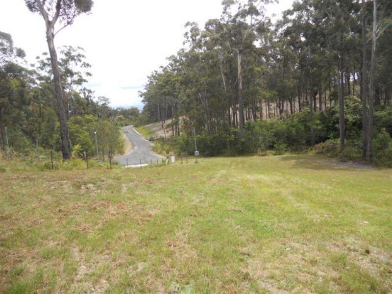 51 Tree Fern Place, Long Beach NSW 2536