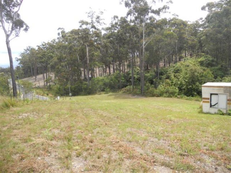 51 Tree Fern Place, Long Beach NSW 2536